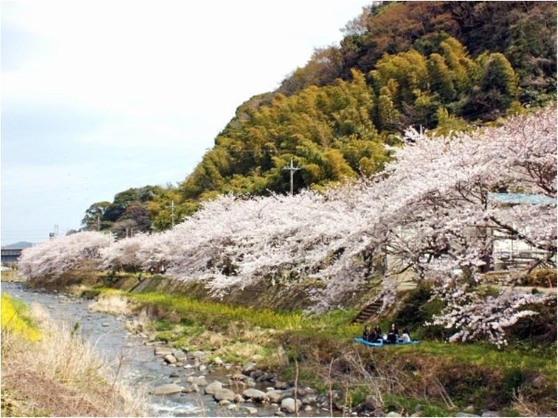 Yugawara Mizunokaori Hotel Eksteriør billede