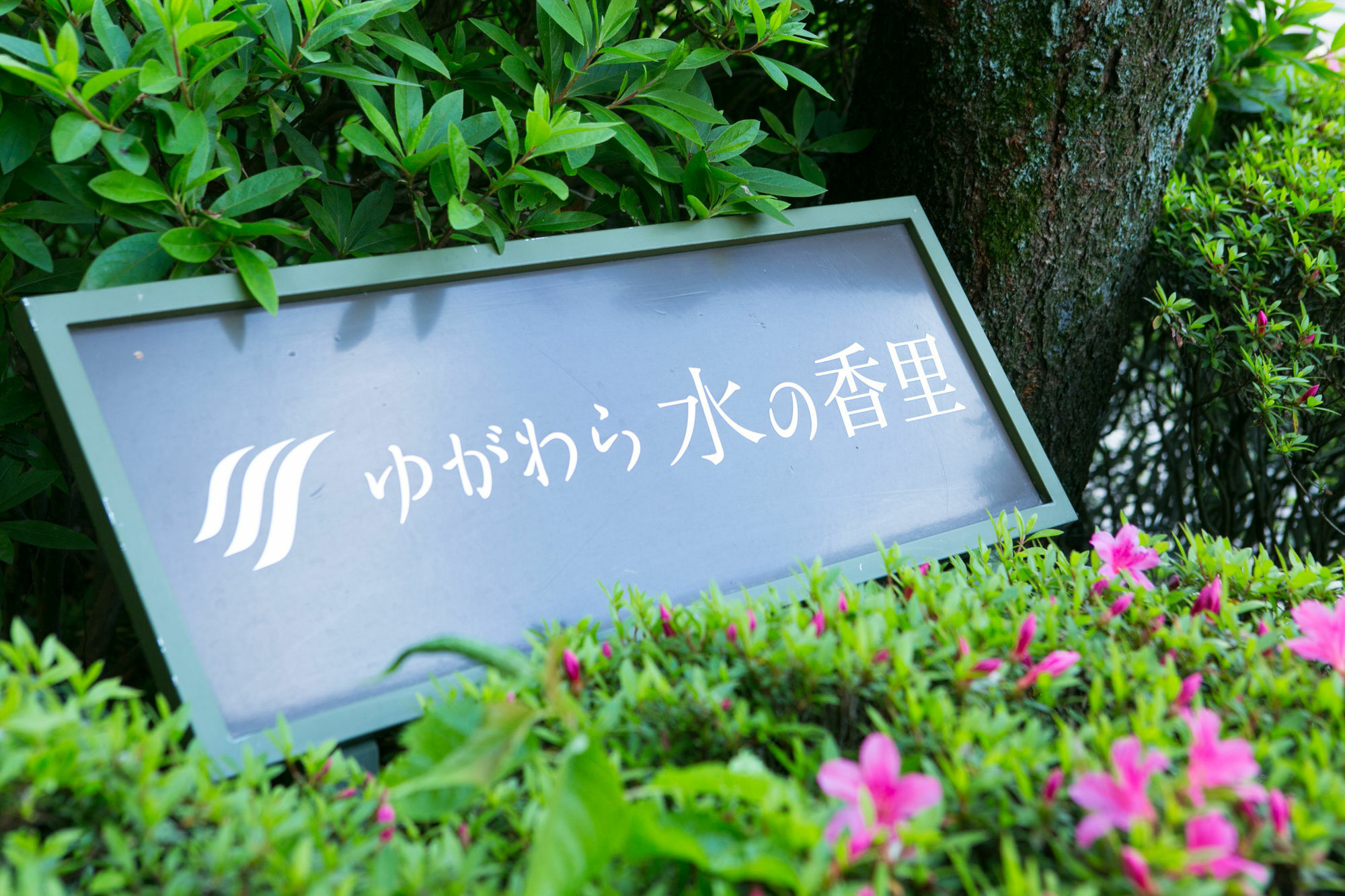 Yugawara Mizunokaori Hotel Eksteriør billede